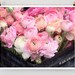 Pink Flowers, Paris, Ranunculus Photo Art Print, Paris Photography, French Pink Wall Art