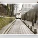 Paris Photography, Montmartre, Rue Des Saules - French Art Prints, Paris Decor - Green Wall Decor