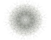 Living Nature - Featured in the latest  West Elm Catalog art print abstract print Archival print mandala art black and white drawing