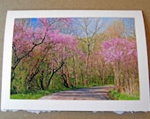 Set of 3 Blank Greeting Cards - Returning Home