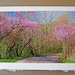 Set of 3 Blank Greeting Cards - Returning Home