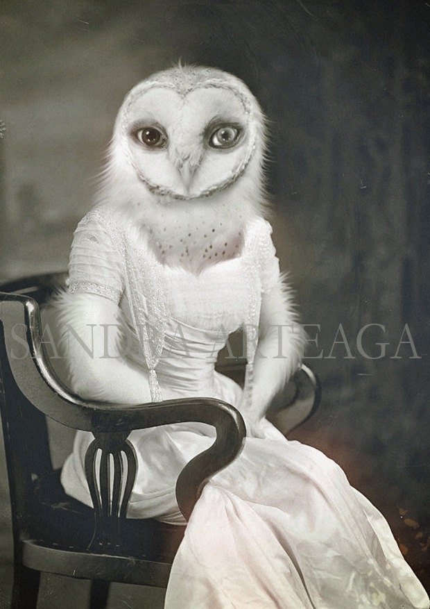 Cora  - lustre print size A4 ( 8.3 in x 11.7 in ) - anthropomorphic mysterious lady owl fairy tale magical creature portrait black  white