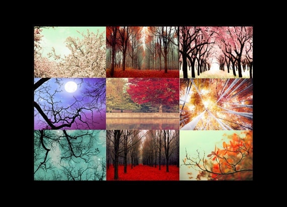 Nature photography gift set, 9 5x7 photos decorating idea for teens, boys and men, four seasons art