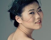 Green Birdcage Veil Blusher -rhinestone dotted-