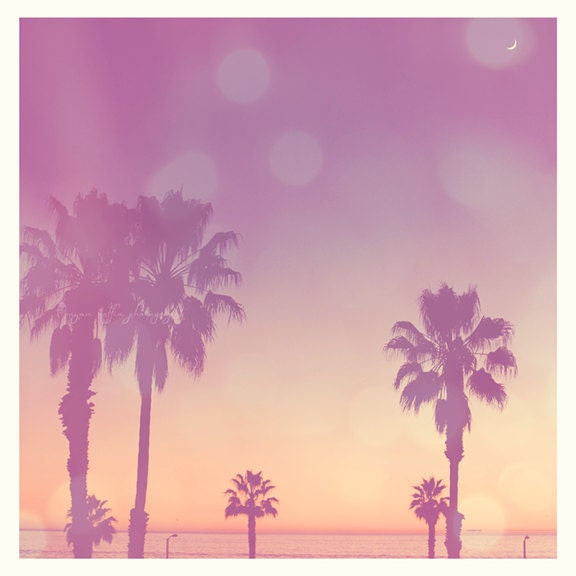 beach sunset photograph, Paradise, Santa Monica California palm trees, I love LA, tropical photo, seashore, nursery room decor, summer