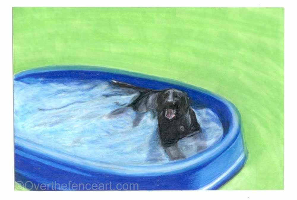Fine Art Print Black Labrador Cools Off  in Pool on a Hot Day wall art greeting card