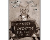 Cat, photo collage, mixed media collage, Altered Vintage Mug Shot, funny, silly, fun, sepia, cream, cat lover, Greeting Card Blank Inside