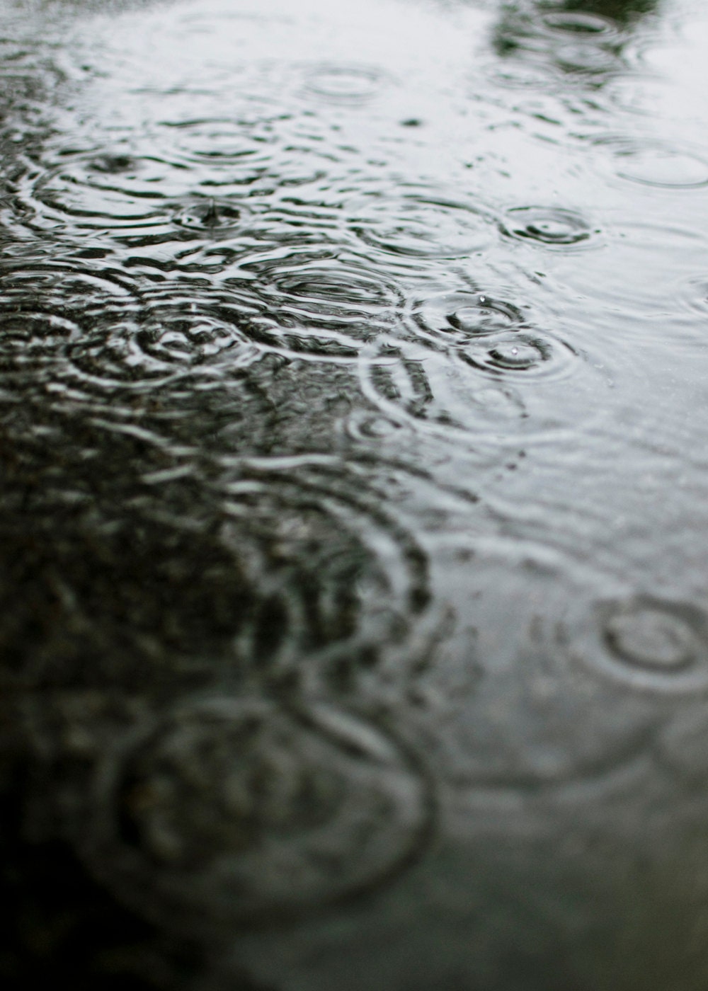 It rained today. (Original rainy day photograph, 5 x 7 print) - WearetheMenards