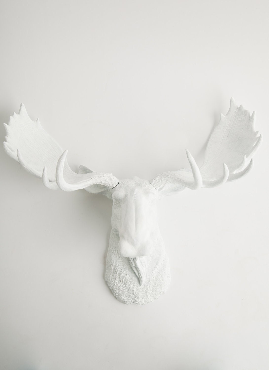 White Faux Taxidermy - White Moose Head - The Edmonton - Moose Antlers In White - Moose Decorations