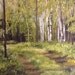 Vermont  Landscape Oil Painting Woodland Birch Trees Scenic Nature Art Laurie Rohner
