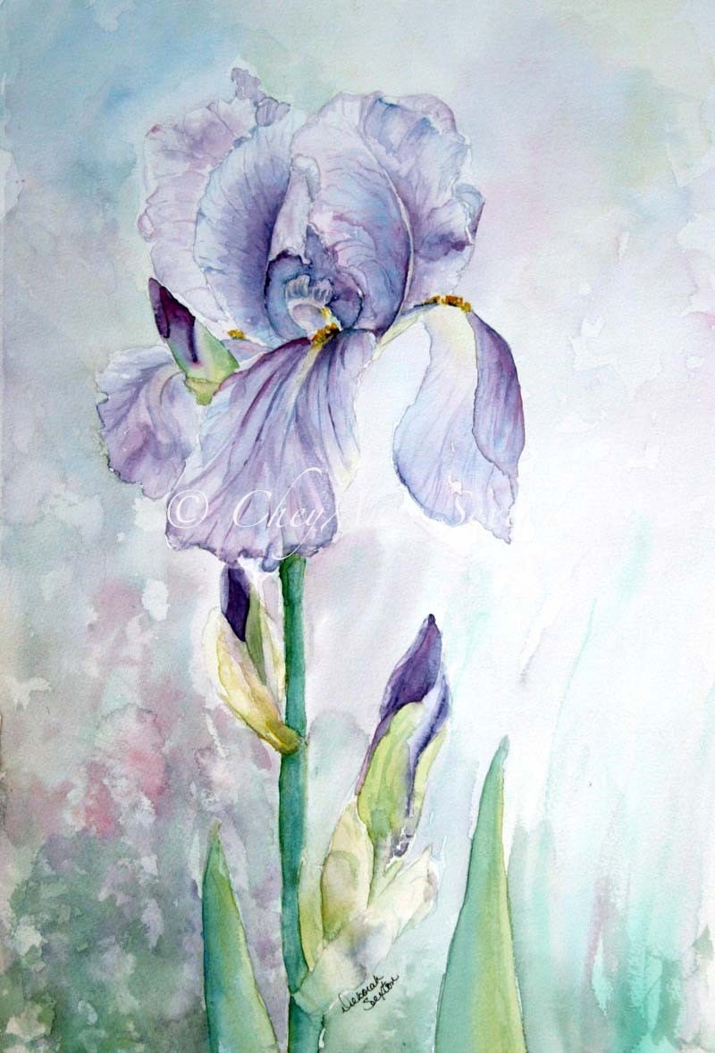Purple Iris Watercolour Painting original Fine Art Home Decor