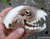 Basil the Blonde Raccoon Skull