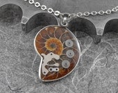 Steampunk Ammonite Fossil Necklace - The Fossilized Spiral of Time by COGnitive Creations