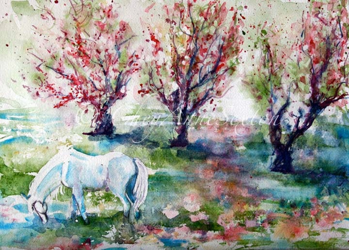 White Horse Art - Sugar - in the Apple Orchard Meadow - watercolor giclee 16x20 - Equine Fine Art