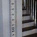 The Metric Growth Chart (includes shipping)