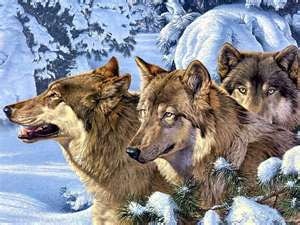 Wolves Cross Stitch Pattern PDF
