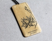 Botanical necklace - Scheuchzeria palustris