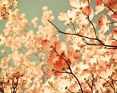 Spring .Pastel pink flower photography . baby nursery art . gift for her . dreamy nature photography . tree . aqua sky . 8x10 . PINK