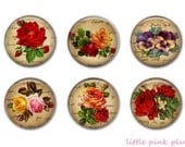 VICTORIAN FLOWERS Magnet Set of Six - 1.25 inches