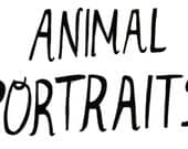 Animal Portraits