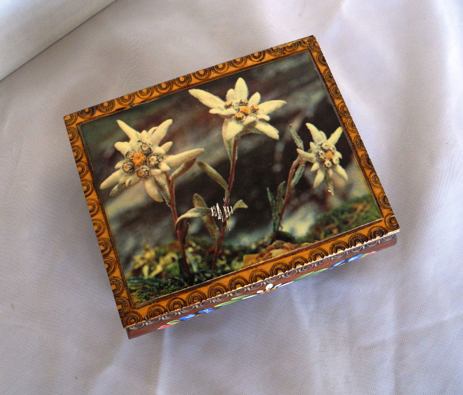 Vintage Reuge Hand Painted Musical Box