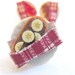 Beaver Tail Collection (Pick One)