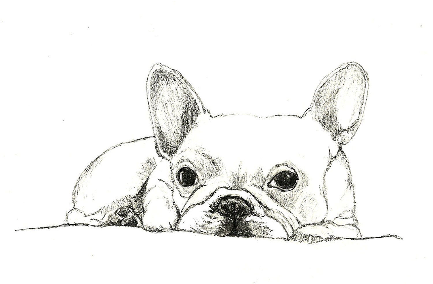 French Bulldog Art - Little French Bulldog - Dog Art