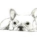 French Bulldog Art - Little French Bulldog - Dog Art