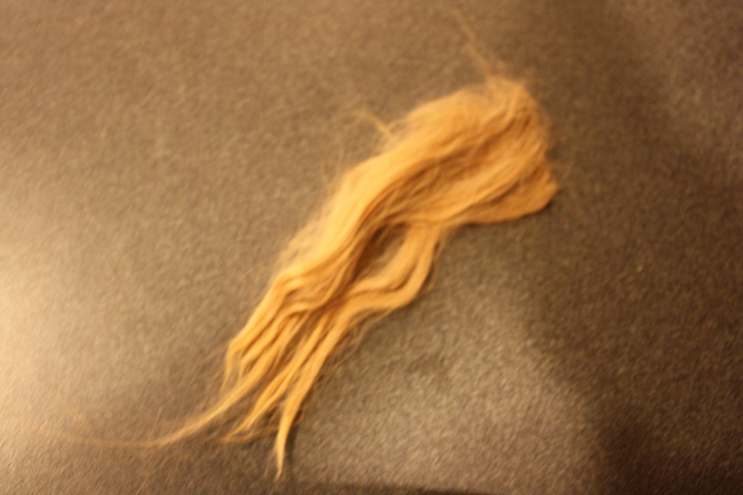 suri alpaca fiber, raw