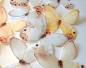100 white edible cake decoration - peach wedding cake toppers -  white wedding cake decoration - wedding confetti by Uniqdots on Etsy