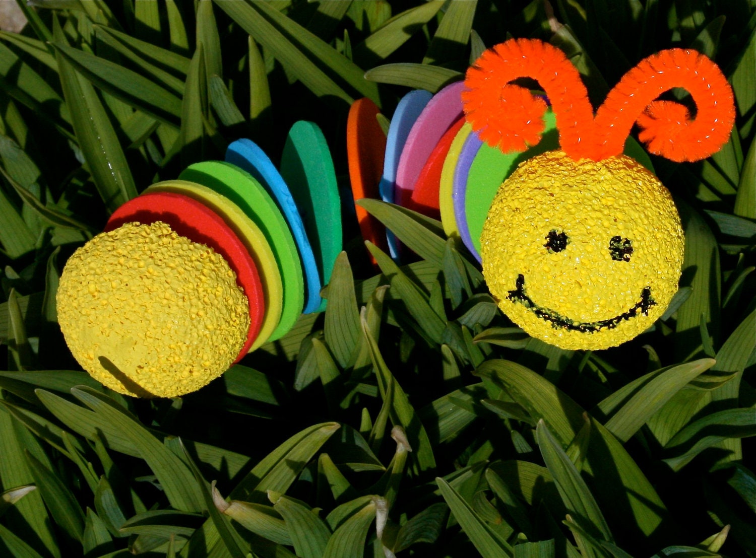 Garden Caterpillar Classroom Kit - Makes 20 Caterpillars