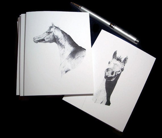 Note cards Arabian Horse Art, Mare and Filly Drawings, Equine Artwork, Stationery Thank You Blank Card - Set of 6 w/ Envelopes