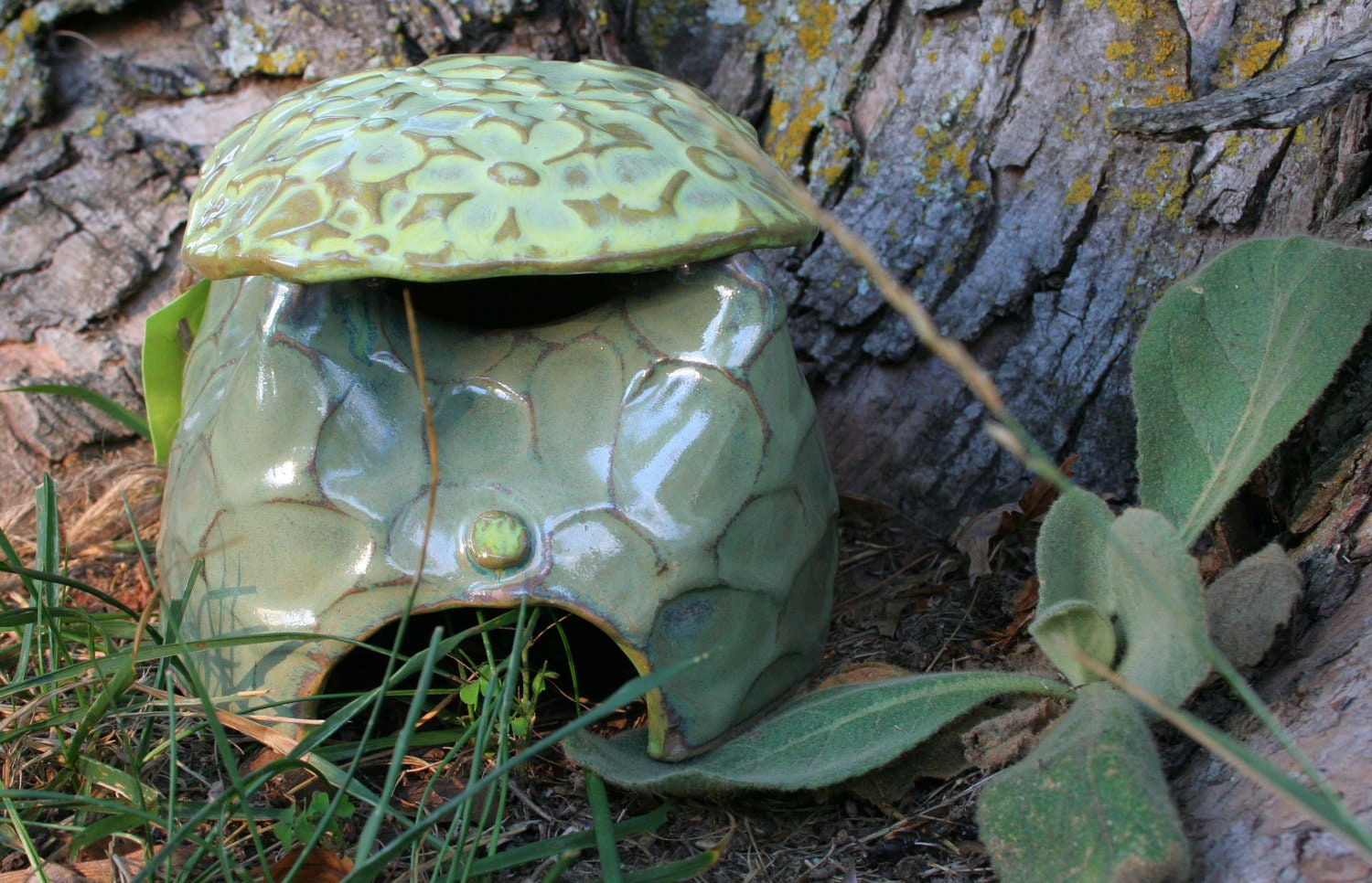 Toad Abode in stone green with soft yellow roof