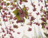 Notre Dame Paris photography -  fine art photography print -  spring wanderlust architecture city art pink dreamy travel photo