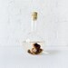 Sea Witch Octopus Specimen In Crystal Science Beaker