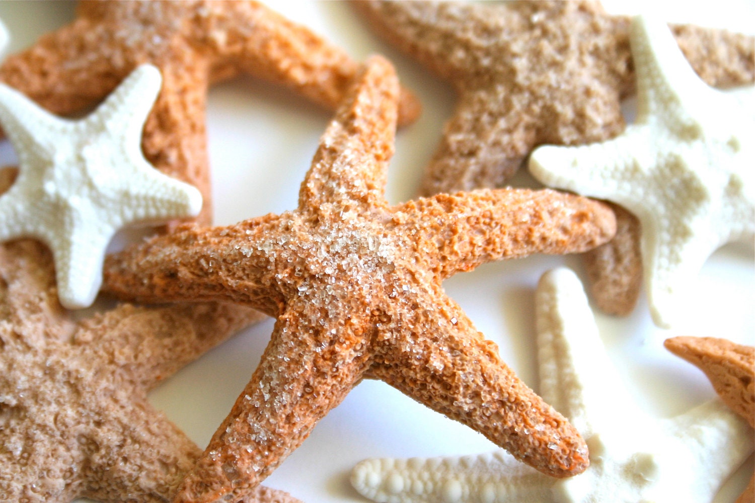 Edible Starfish / Edible Echinoderms / Edible Sea Stars - 9 - cake decoration or stand alone decorative sweet