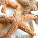 Edible Starfish / Edible Echinoderms / Edible Sea Stars - 9 - cake decoration or stand alone decorative sweet