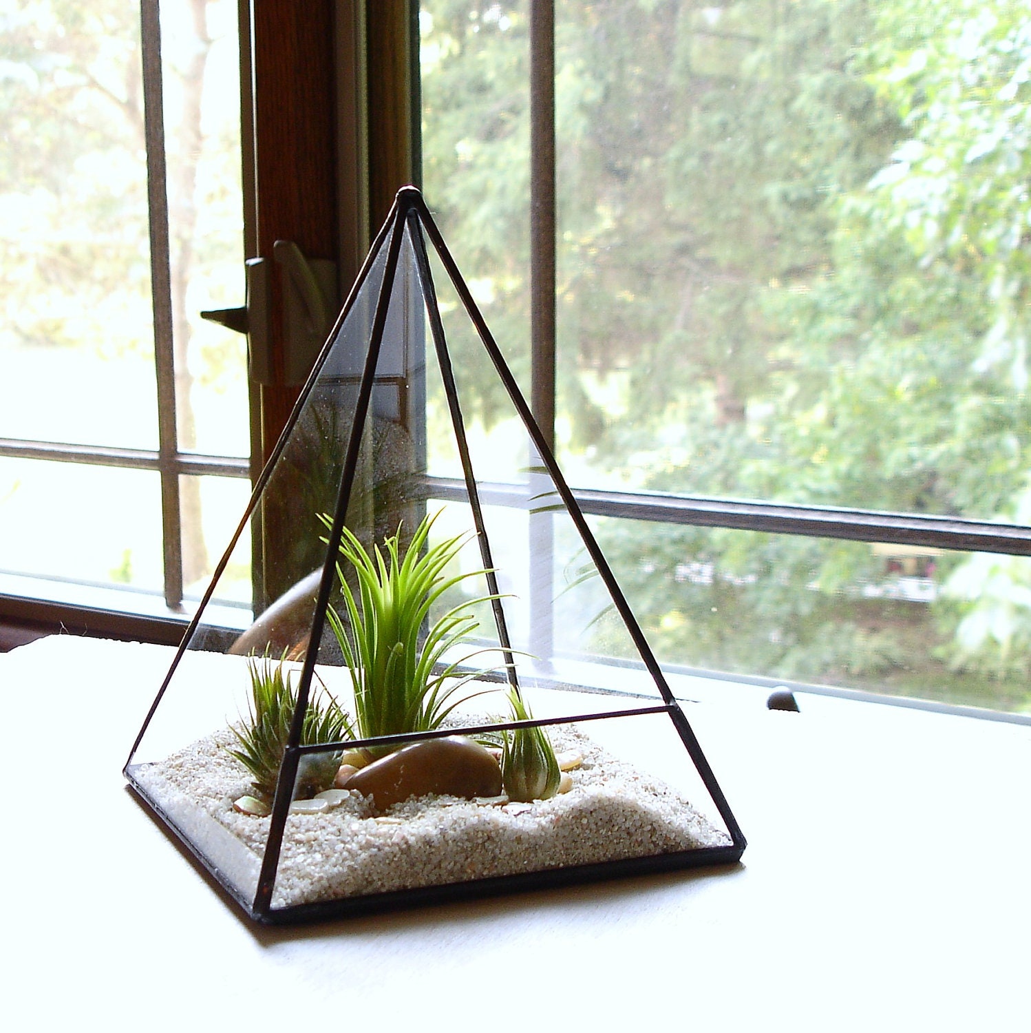 Terrarium, Glass Pyramid Planter with Air Plant, DIY, Desk Accessory