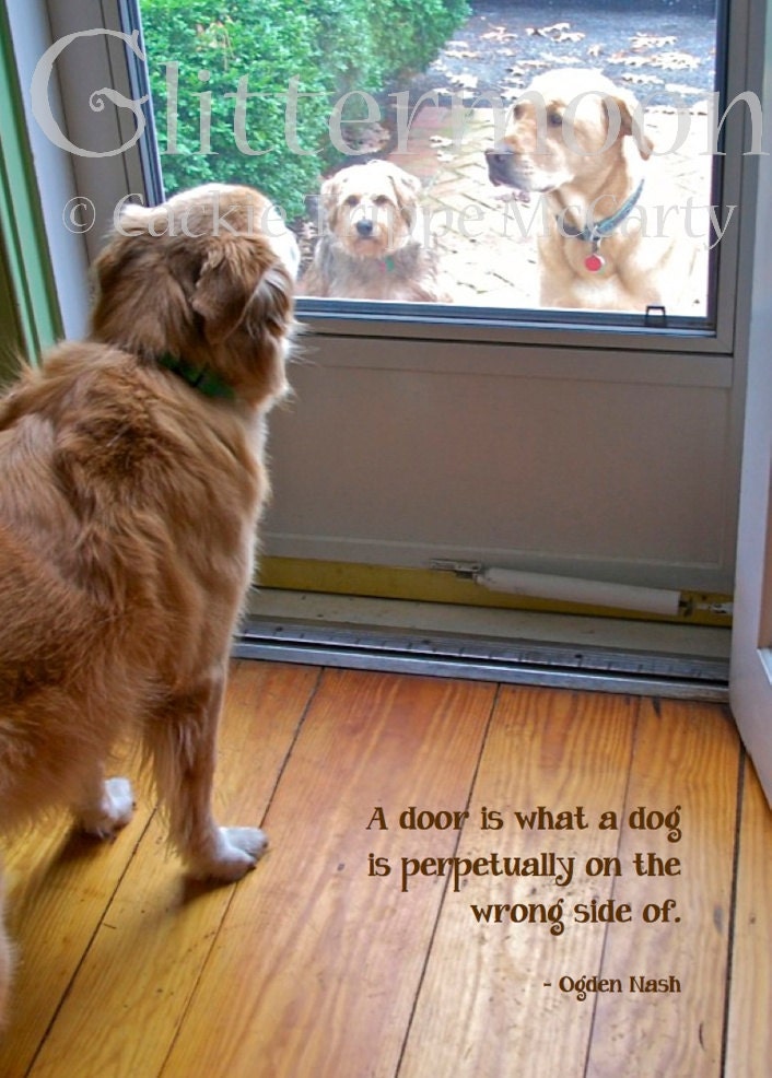 3 Dogs and a Door blank greeting card with envelope