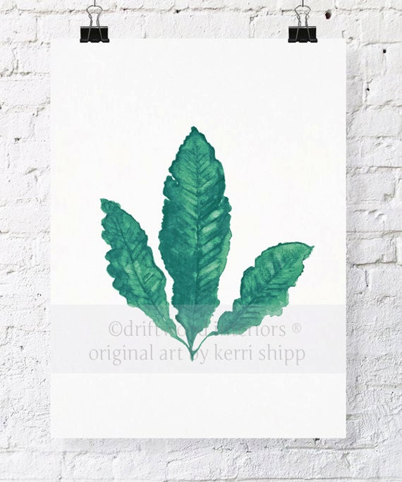 Sea Fan II in Emerald Watercolor Print - Sea Life Art Print  - Marine Life Wall Art