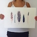 Feathers 2 - 11x17 Print