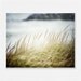 Soft Beach Decor, Beach Photography, Ocean Landscape, Soft Green Grasses, Mint Pale Blue Olive Lime Grey Blue,  Seascape Art.