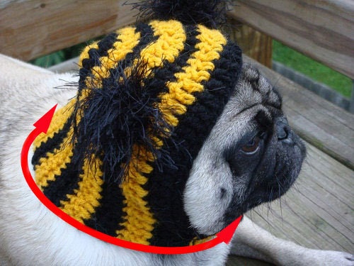 Dog Hat - Flying Purple People Eater/ Made to Order