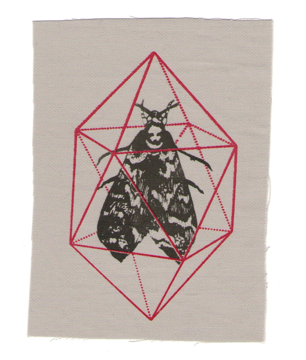 Geodesic Moth