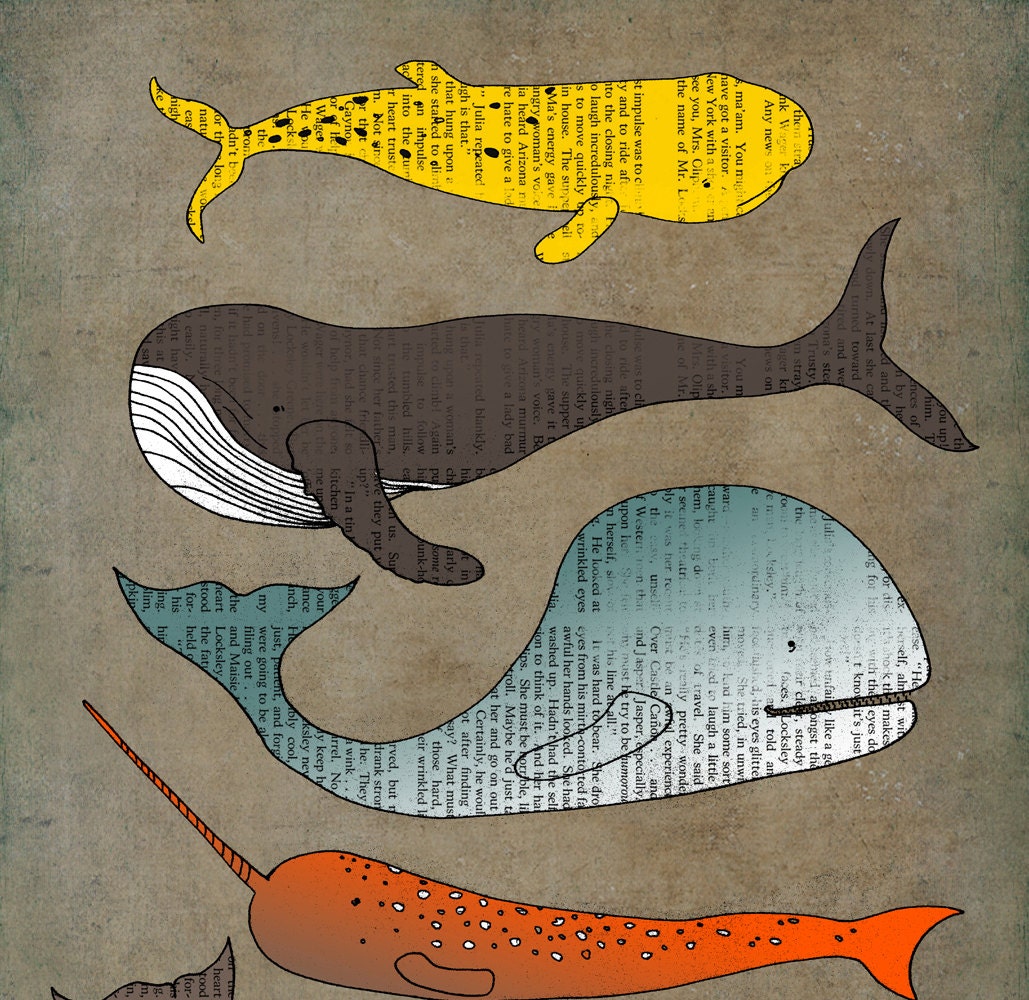 Whales  art print large poster illustration 16x23