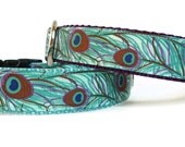 Cute Dog Collar (1" wide) in Shades of Blue, Aqua and Purple with Pretty Feathers - Peacock on Blue or Purple Webbing