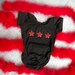 Red Stars Leotard
