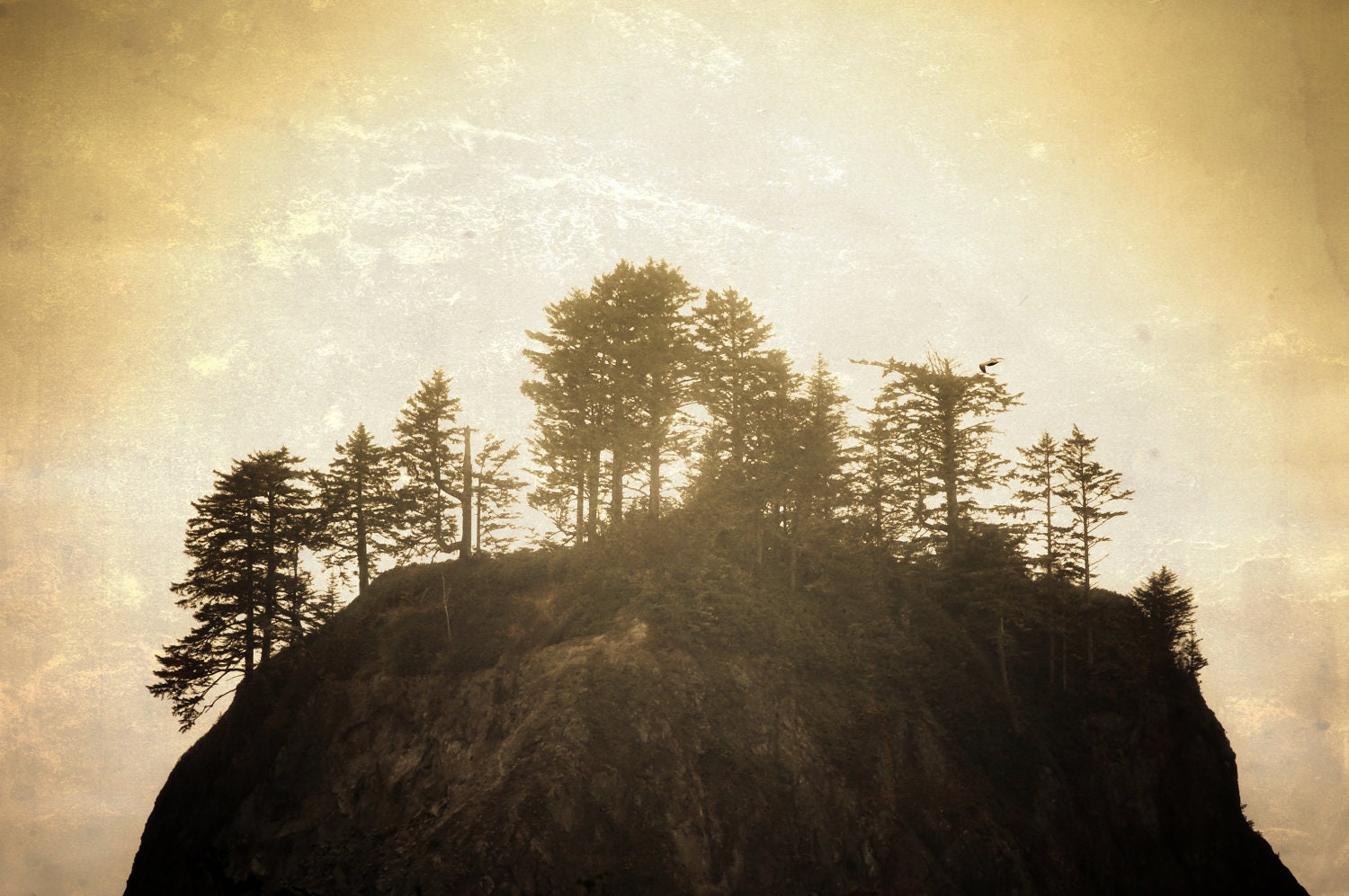 Landscape, I am a Rock, I am an Island,  8 x 10 Photography Art Print