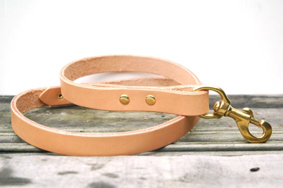 Simple dog leash