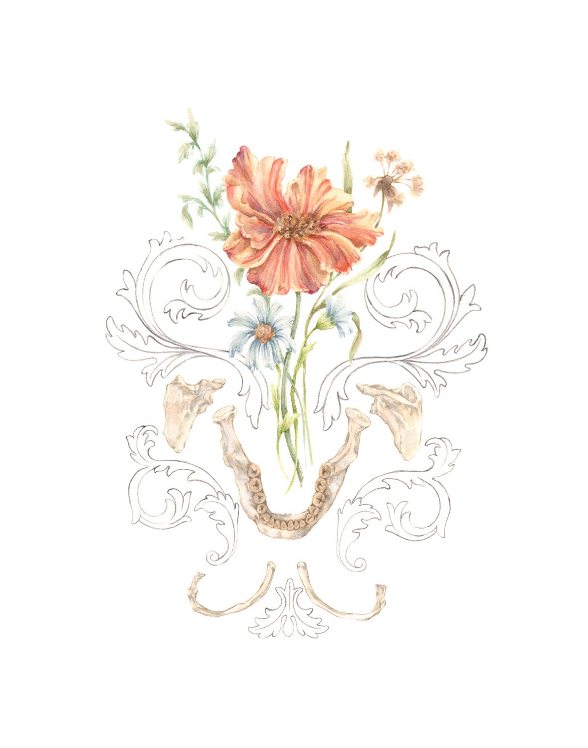 5x7" PRINT of original drawing "Mandible Bouquet"- graphite, art, anatomy, floral